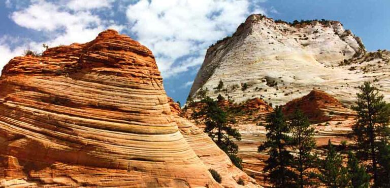 zion national park mobile 2 768x372
