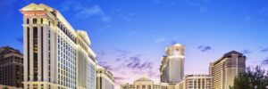 banner 2 300x100