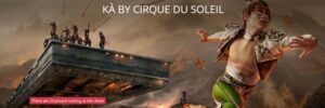 banner 20 300x100