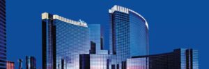 banner 300x100