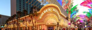 banner 6 300x100